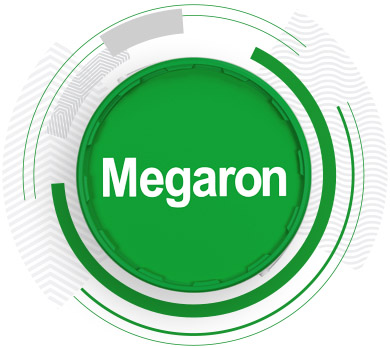 Megaron | Najwyższej klasy gładzie i gipsy szpachlowe